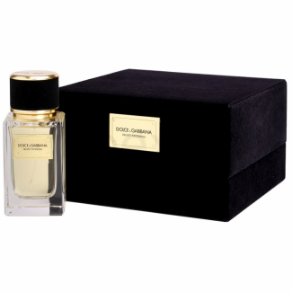 D&G Velvet Collection Patchouli